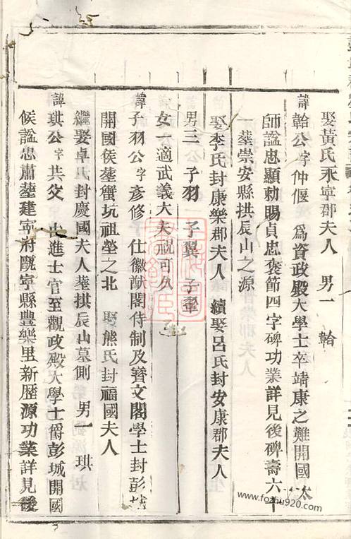 四川邹氏族谱,玄烨的家谱,王氏家谱河南周口,张氏族谱家绍,相州区王氏