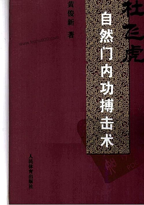 杜飞虎自然门功法述要钟志辉下载