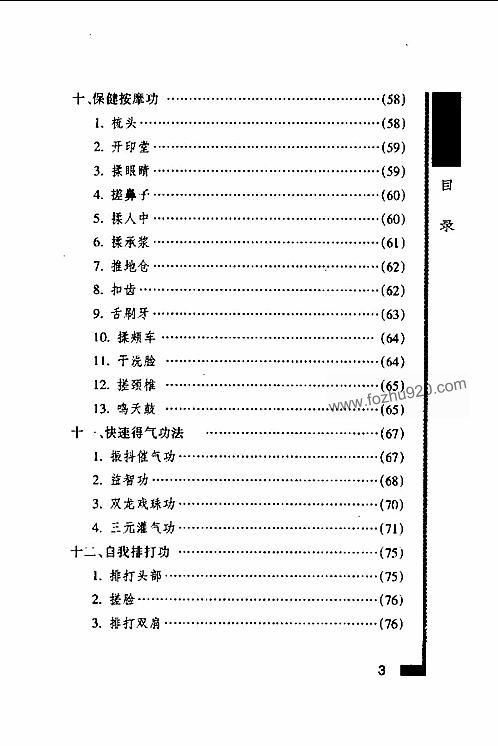 少林气功内劲一指禅教程王瑞亭下载