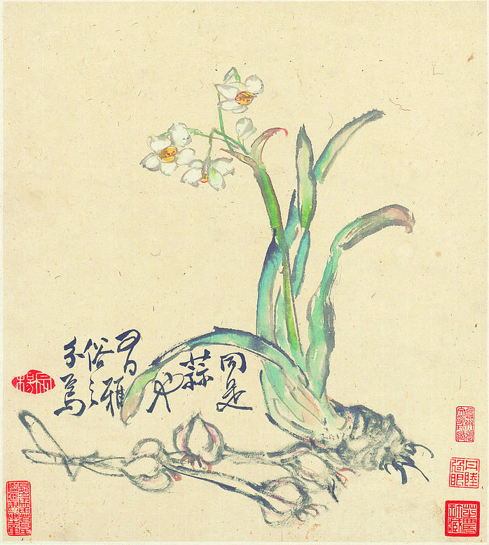 清 李鱓 花卉十二开 6 (3931x4381px 300)