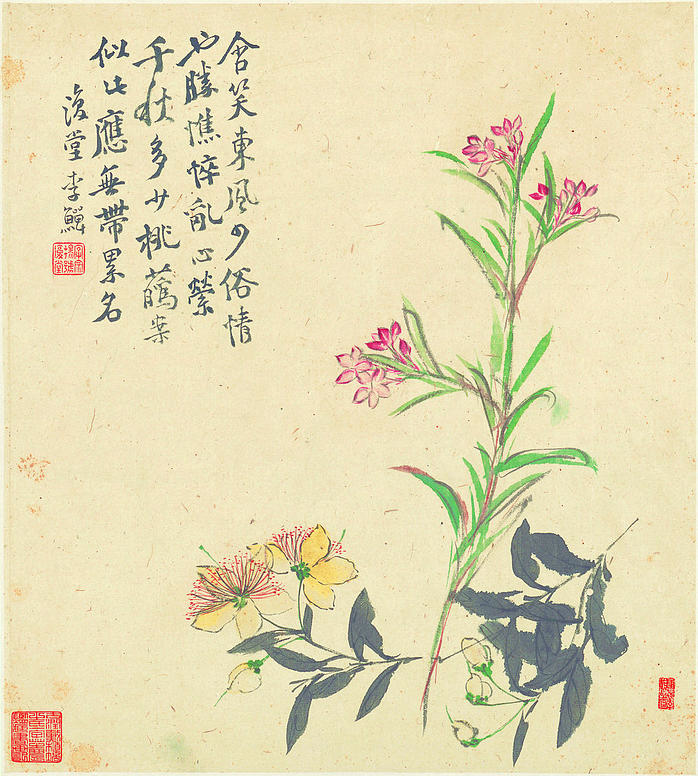 清 李鱓 花卉十二开 4 (3936x4377px 300)