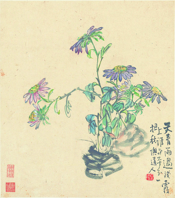 清 李鱓 花卉十二开 3 (3905x4398px 300)
