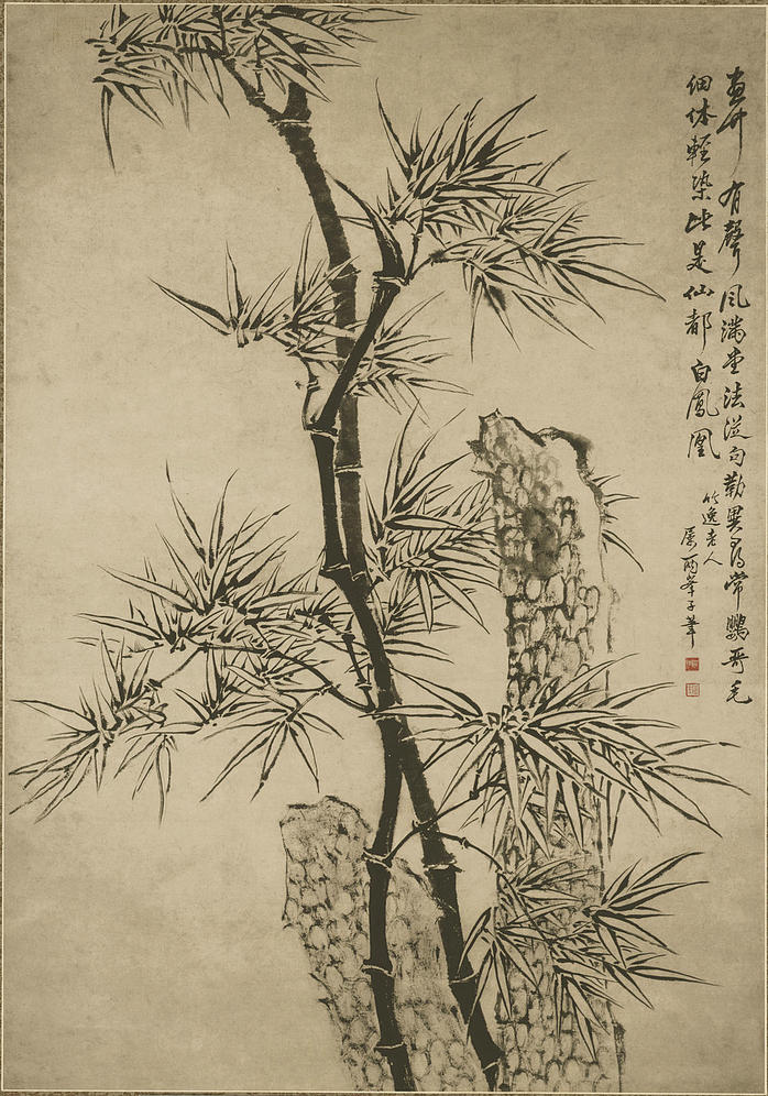 清 佚名 竹石图 纸本 (6076x8668px 400)