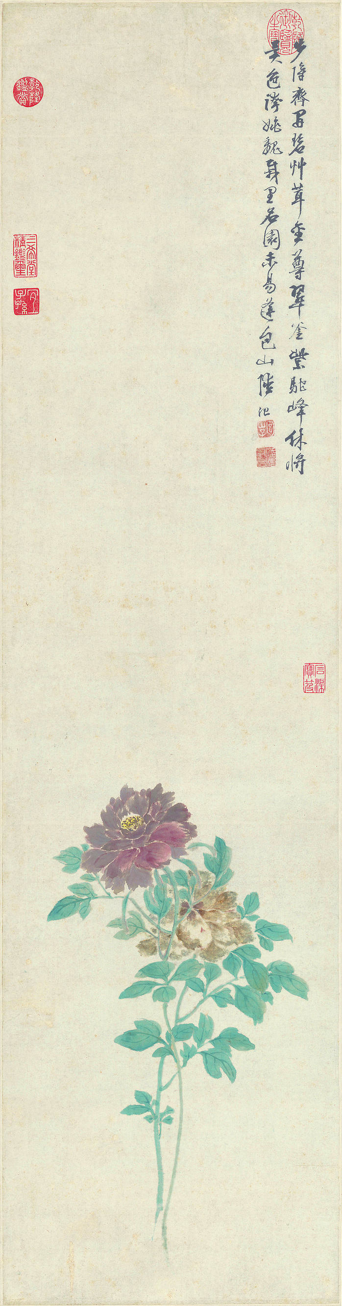 明 陆治 牡丹图轴 纸本 (3746x14269px 300)
