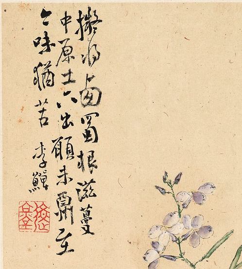清 李鱓 花卉十二开 (3940x4376px 300)