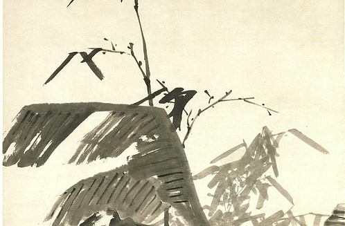 清 朱耷 芭蕉竹石图纸本 (6869x18060px 350)