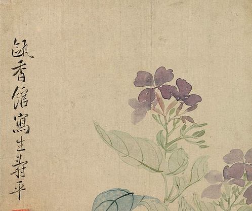 清 恽寿平 山水花卉 花卉图冊之四-豆花石 (4002x3345px 96)