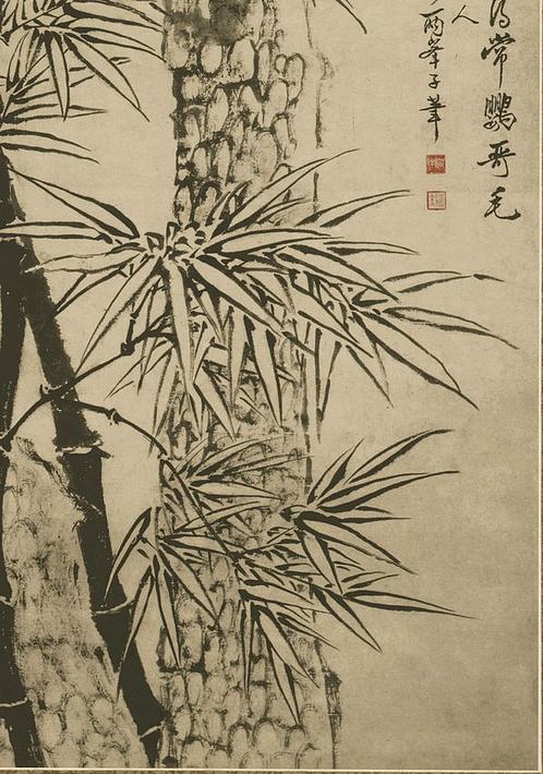 清 佚名 竹石图 纸本 (6076x8668px 400)