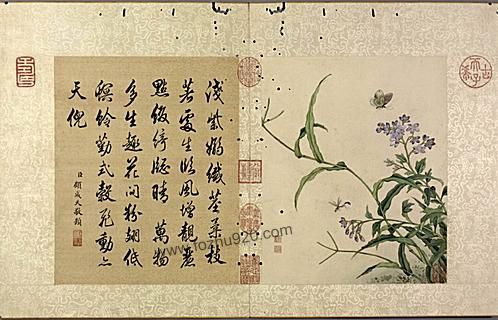 花卉虫草册 二十四帧 清蒋廷锡绘 故宫博物院藏本 下载