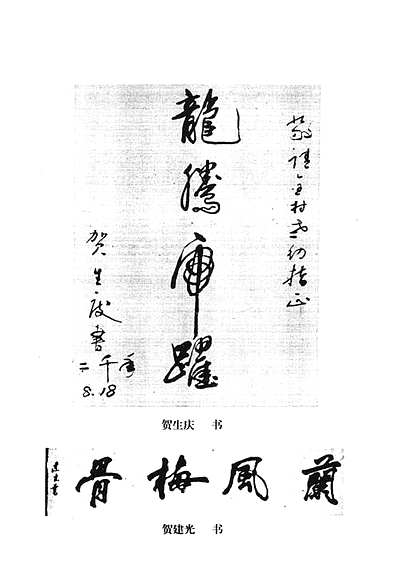 贺家川村志（陕西省志）.pdf