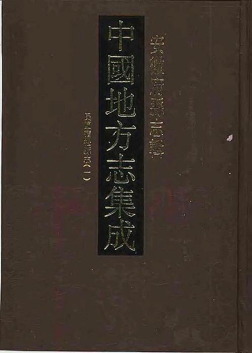 临漳县志愿者县志头像唐河历史县志宜川县志丹山东山东通志怀远县志