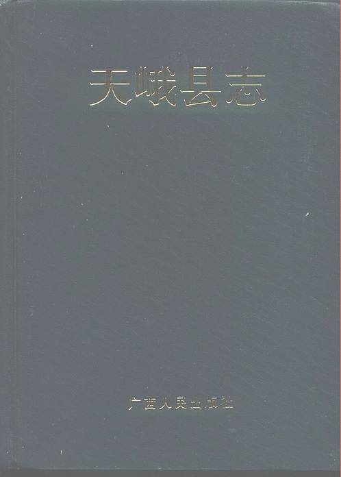 广西_天峨县志.pdf