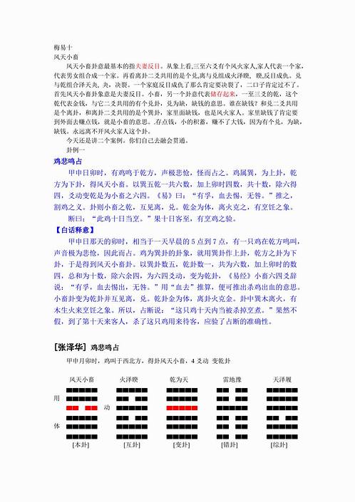 张泽华-梅花易数（风天小畜）.pdf