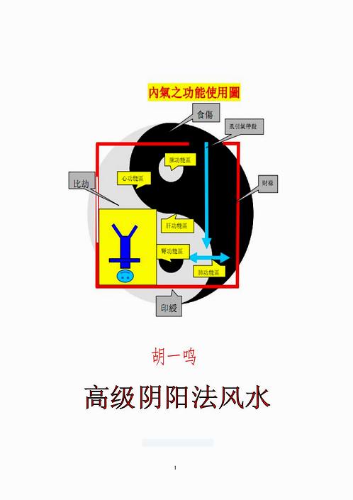 胡一鸣阴阳法教材图片