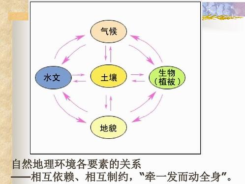 自然地理要素关系图图片