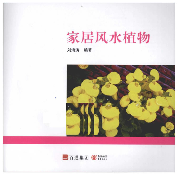 刘海涛-家居风水植物