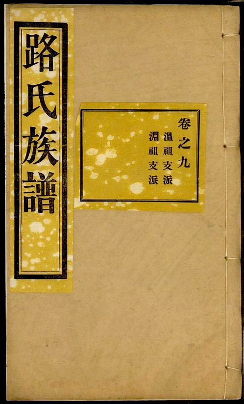 盛姓家譜蔡氏宗譜蔡氏家乘蔡氏家譜蔡氏族譜謝氏族譜字輩雲南越氏族