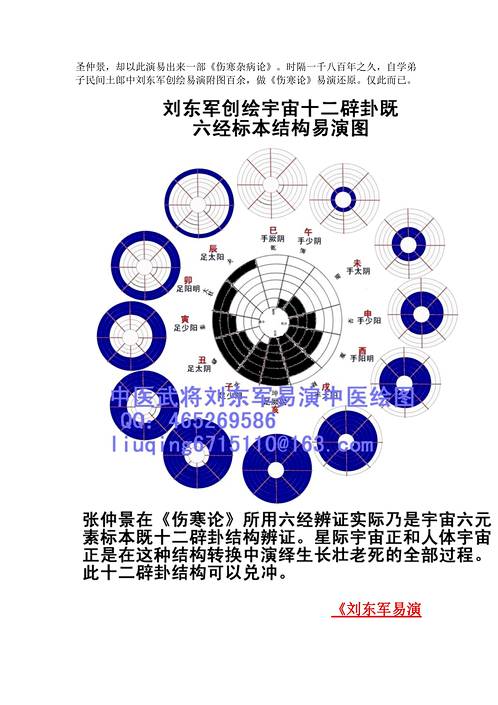 刘东军易演伤寒论.pdf