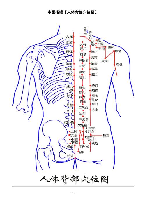 拔火罐_人體背部穴位圖_中醫療法主病症和選穴.pdf