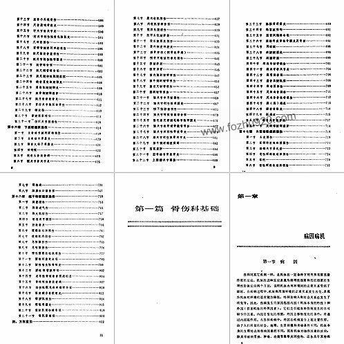 【中国医着系列丛书-中国骨伤科学 1】下载