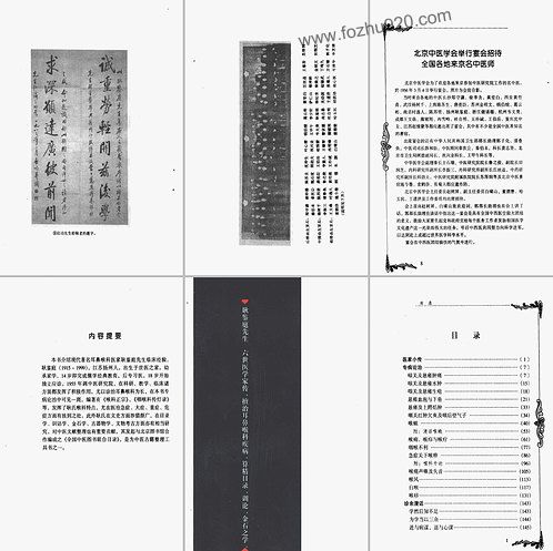 【中国百年百名中医临床家丛书-耿鉴庭】下载