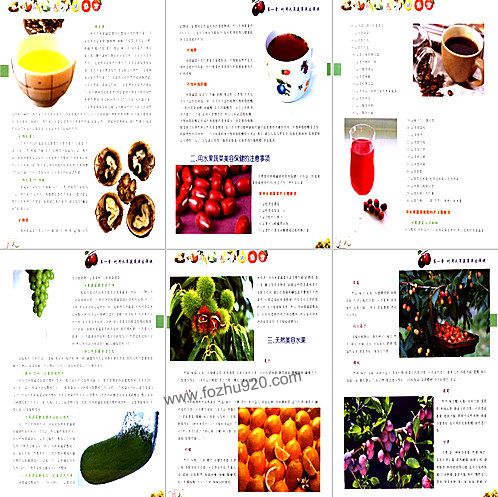 【水果蔬菜食疗保健方】下载